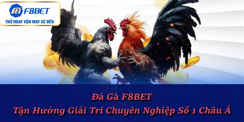 Không khí sôi động của đá gà F8BET